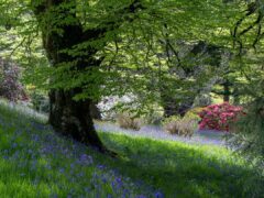 castle_hill_estate_5