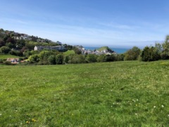 gp_hillsborough__devon_3