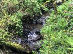 gp_the_national_trust_1