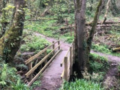 gp_the_national_trust_2