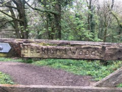 gp_the_national_trust_3
