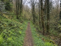gp_the_national_trust_4