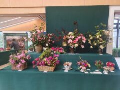 marwood_hill_garden_2