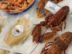 the_devon_and_cornwall_fish_company_ltd-3