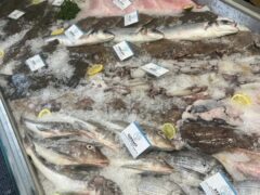 the_devon_and_cornwall_fish_company_ltd-4