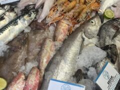 the_devon_and_cornwall_fish_company_ltd-5