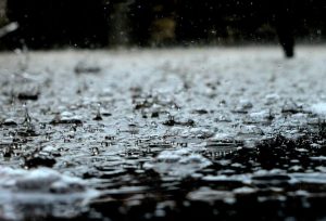 How Weather Can Affect Your Sports Betting Strategy in Outdoor Sports
